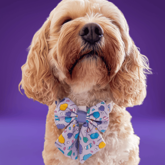Zelda & Harley Bow Cotton Candy Sailor Bow Tie