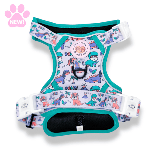 Zelda & Harley Harness Doggosaurus Rex | Adventure No Pull Dog Harness