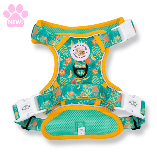 Zelda & Harley Harness Jungle Pawradise | Adventure No Pull Dog Harness