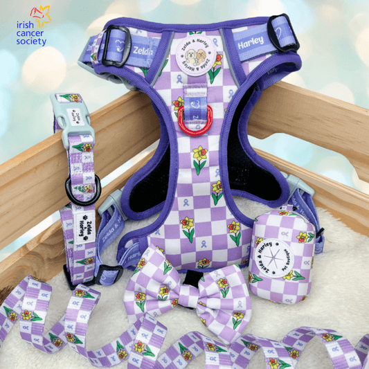 Zelda & Harley Harness Paws for a Cause - Adventure No Pull Harness