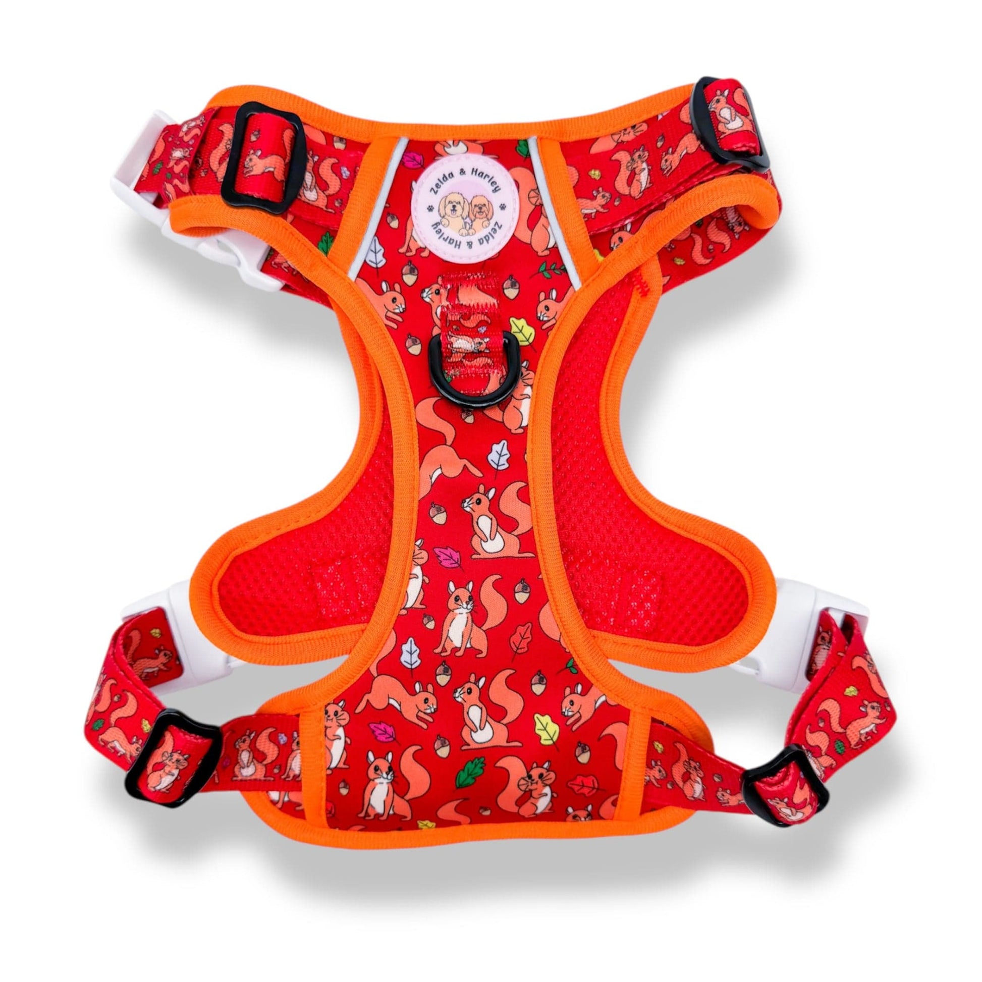 Zelda & Harley Harness Squirrel | Adventure No Pull Dog Harness