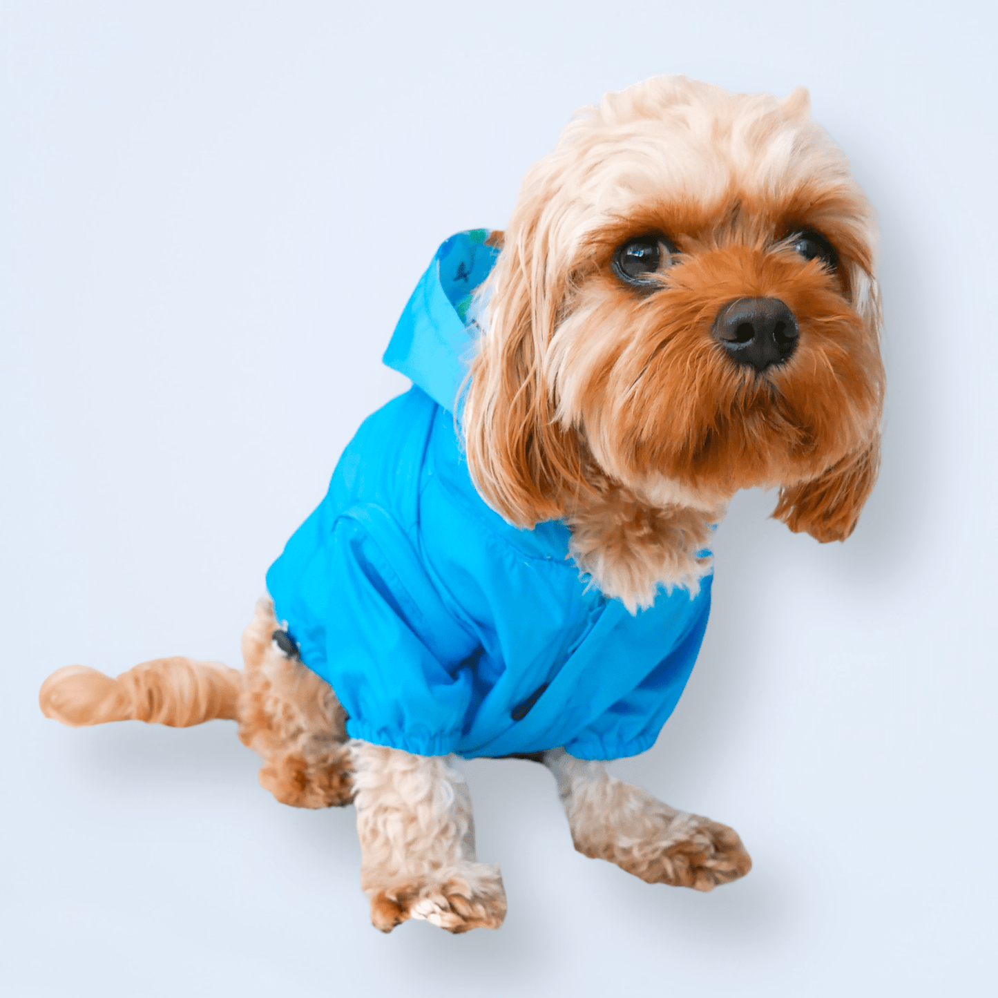 Zelda & Harley Raincoat Showers Reversible Raincoat