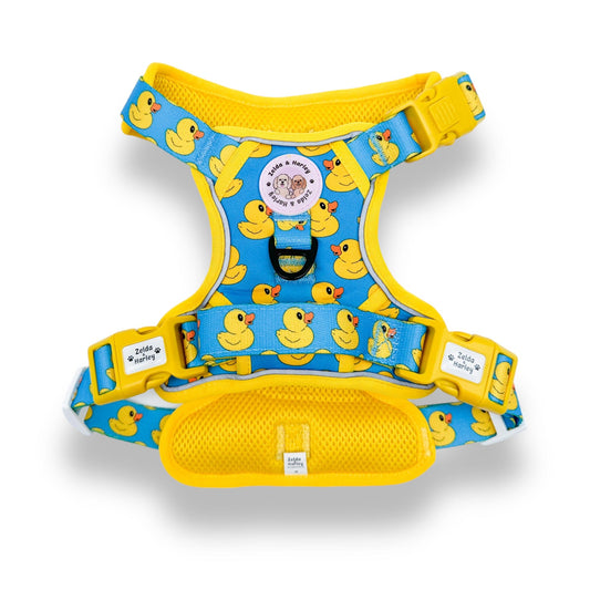 Zelda & Harley adventure dog harness