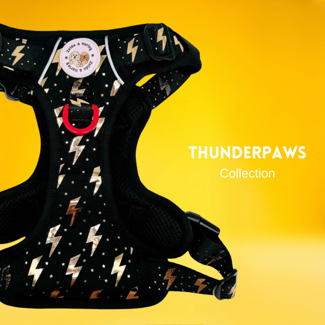 ThunderPaws