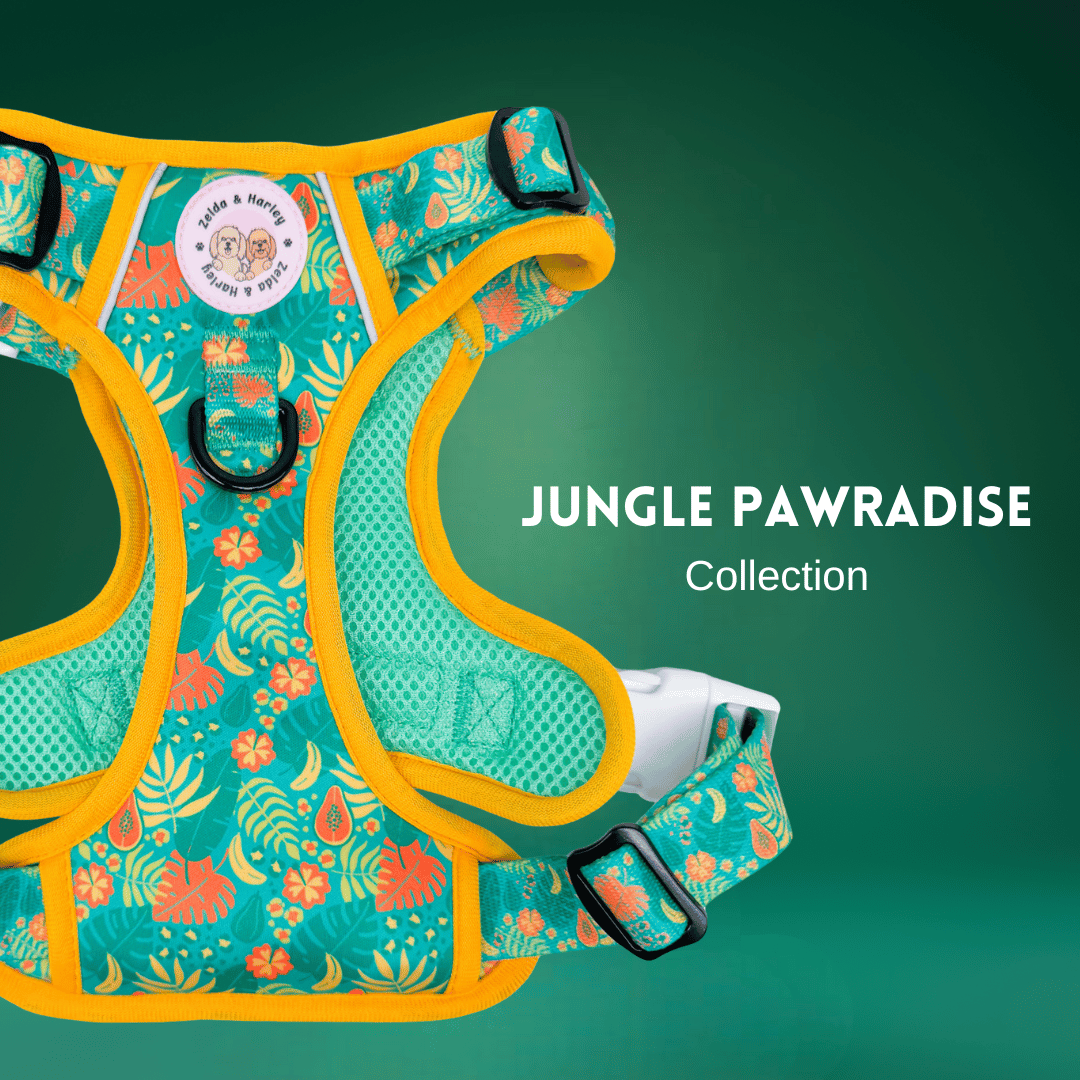 Jungle Pawradise