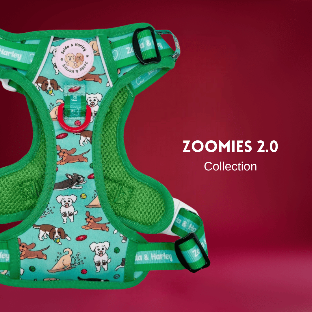 Zoomies 2.0