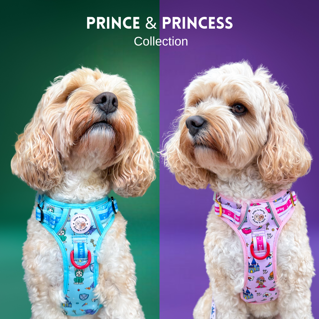 Prince & Princess Collection