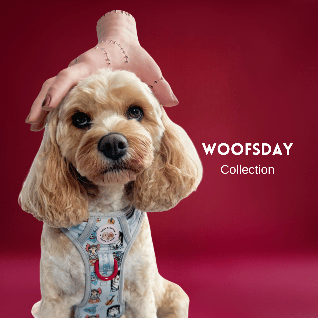 Woofsday