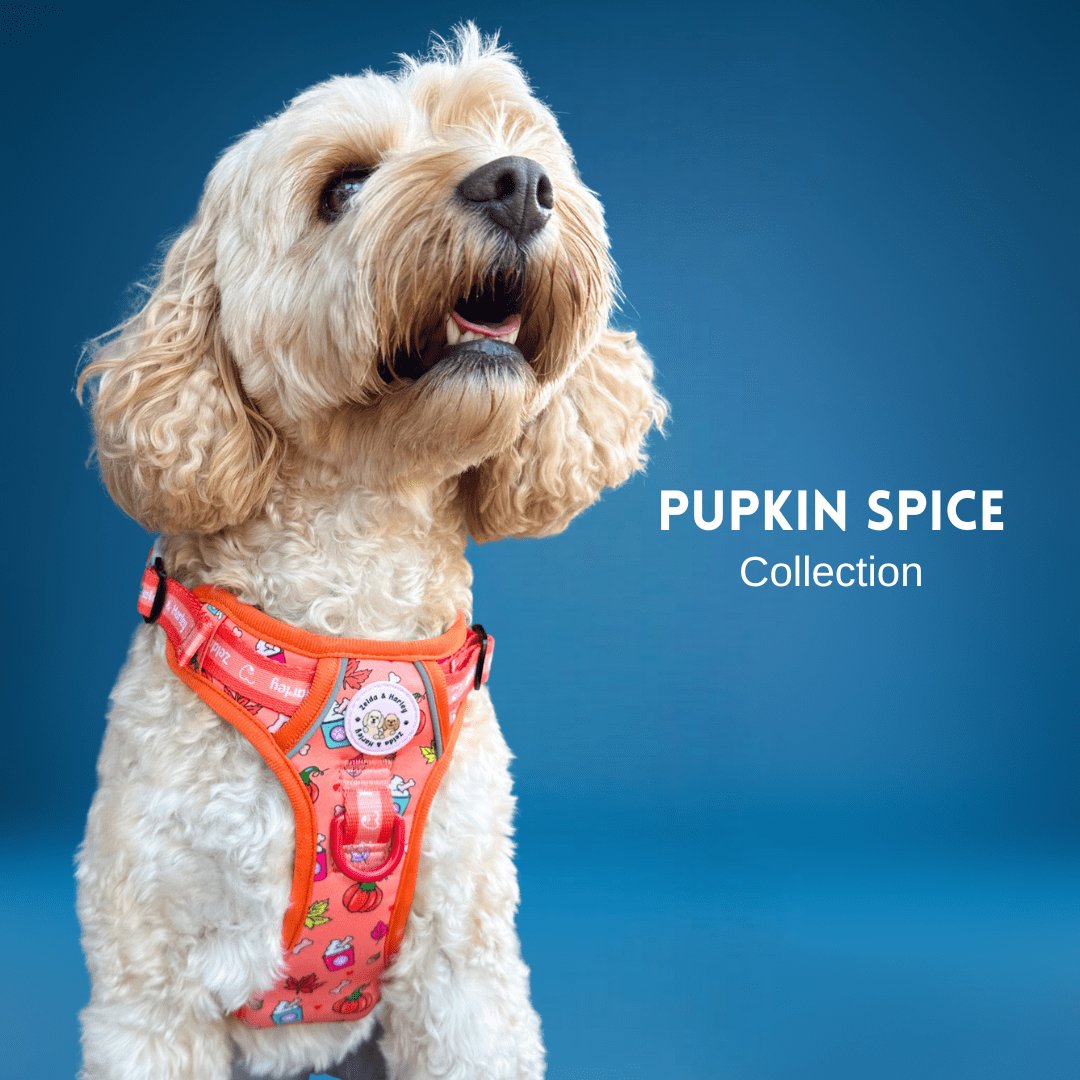 Pupkin Spice