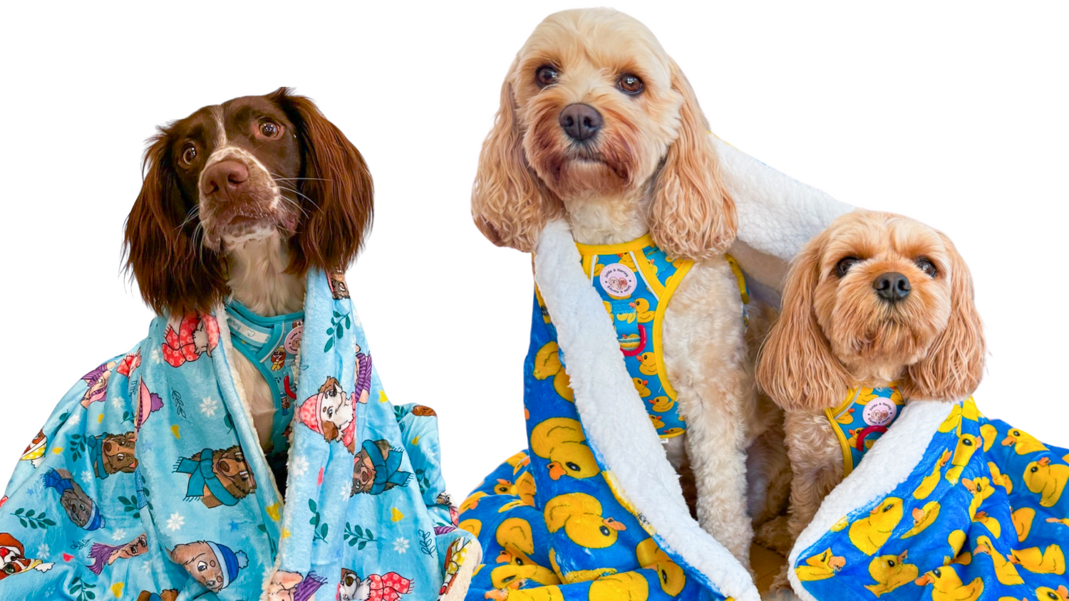 Dog Blankets