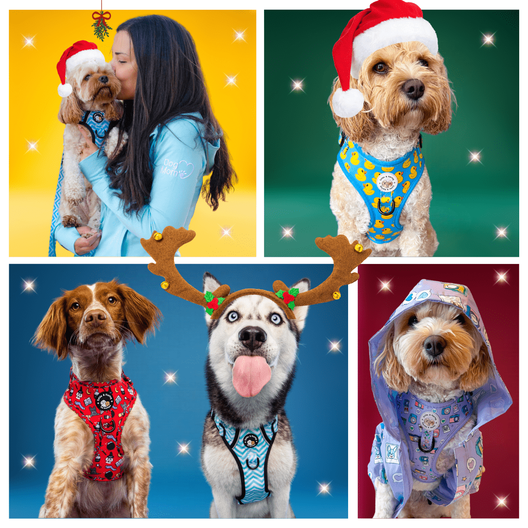 Welcome to Zelda & Harley, The Dog Mum Store! 🐶🥰