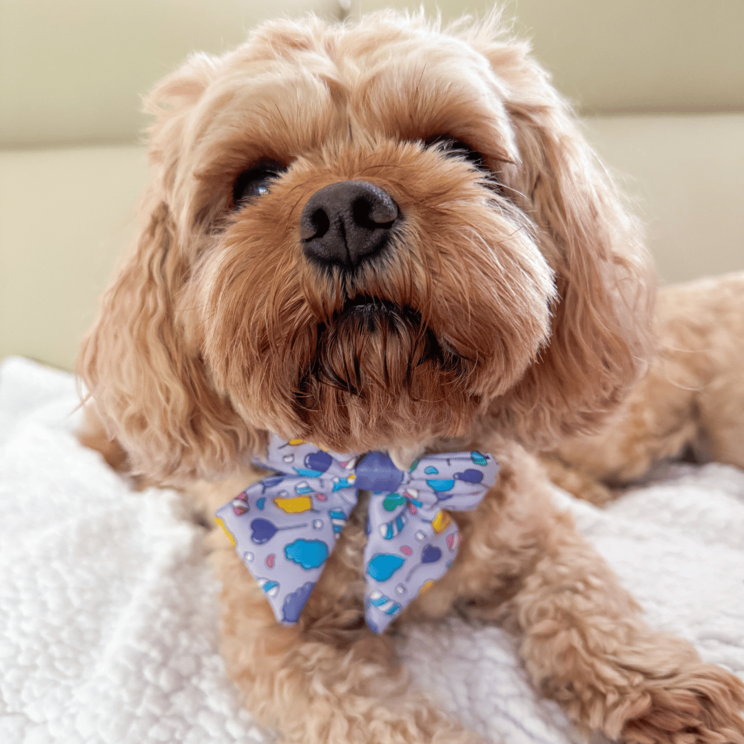 Zelda & Harley Bow Cotton Candy Sailor Bow Tie