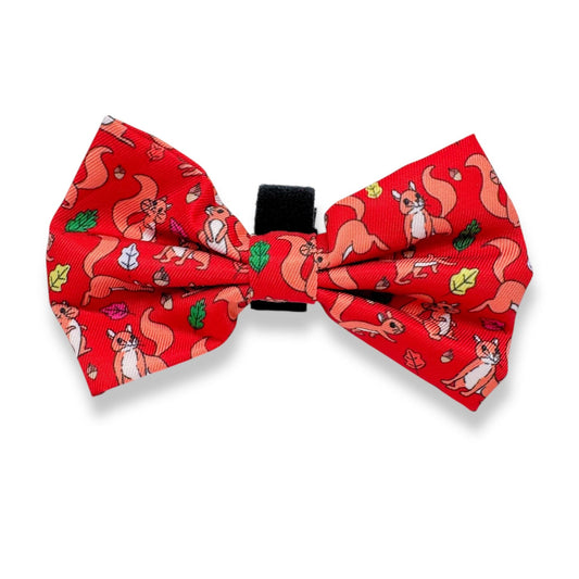 Zelda & Harley Bow Squirrel Bow Tie