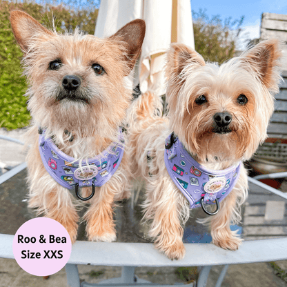 Zelda & Harley Harness Puparazzi - No Pull Adjustable Dog Harness