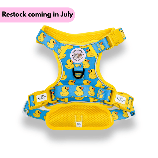 Zelda & Harley Harness Rubber Duckie Blue - Adventure No Pull Harness