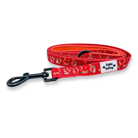 Zelda & Harley Lead Squirrel Lead