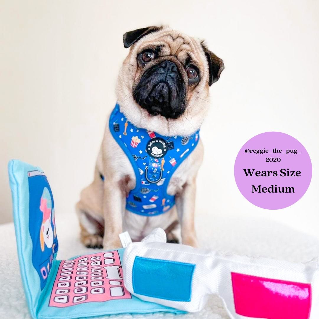 Zelda and Harley Harness Howl-lywood - D-Ring Adjustable Dog Harness