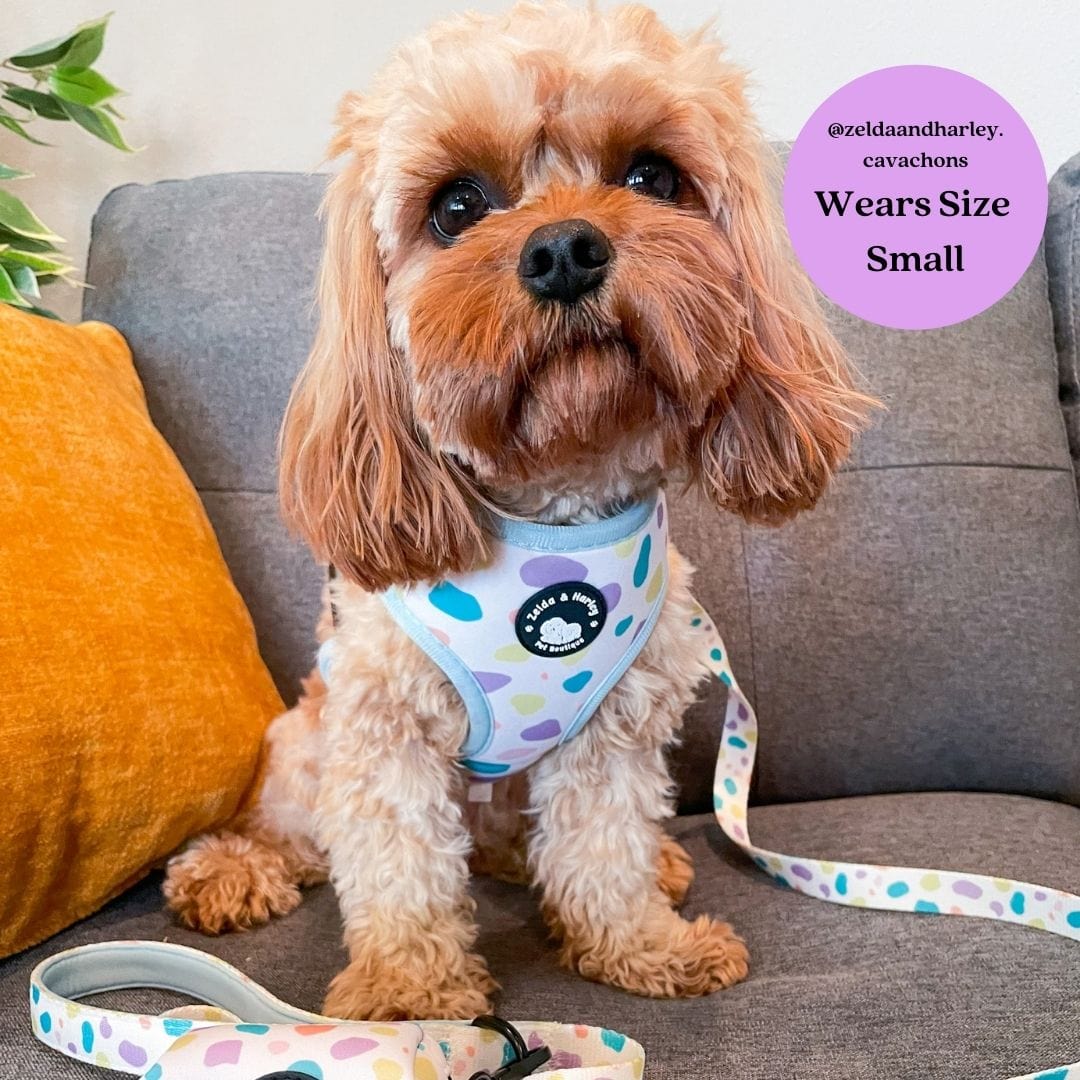 Zelda and Harley Harness Pastel Showers Reversible Harness