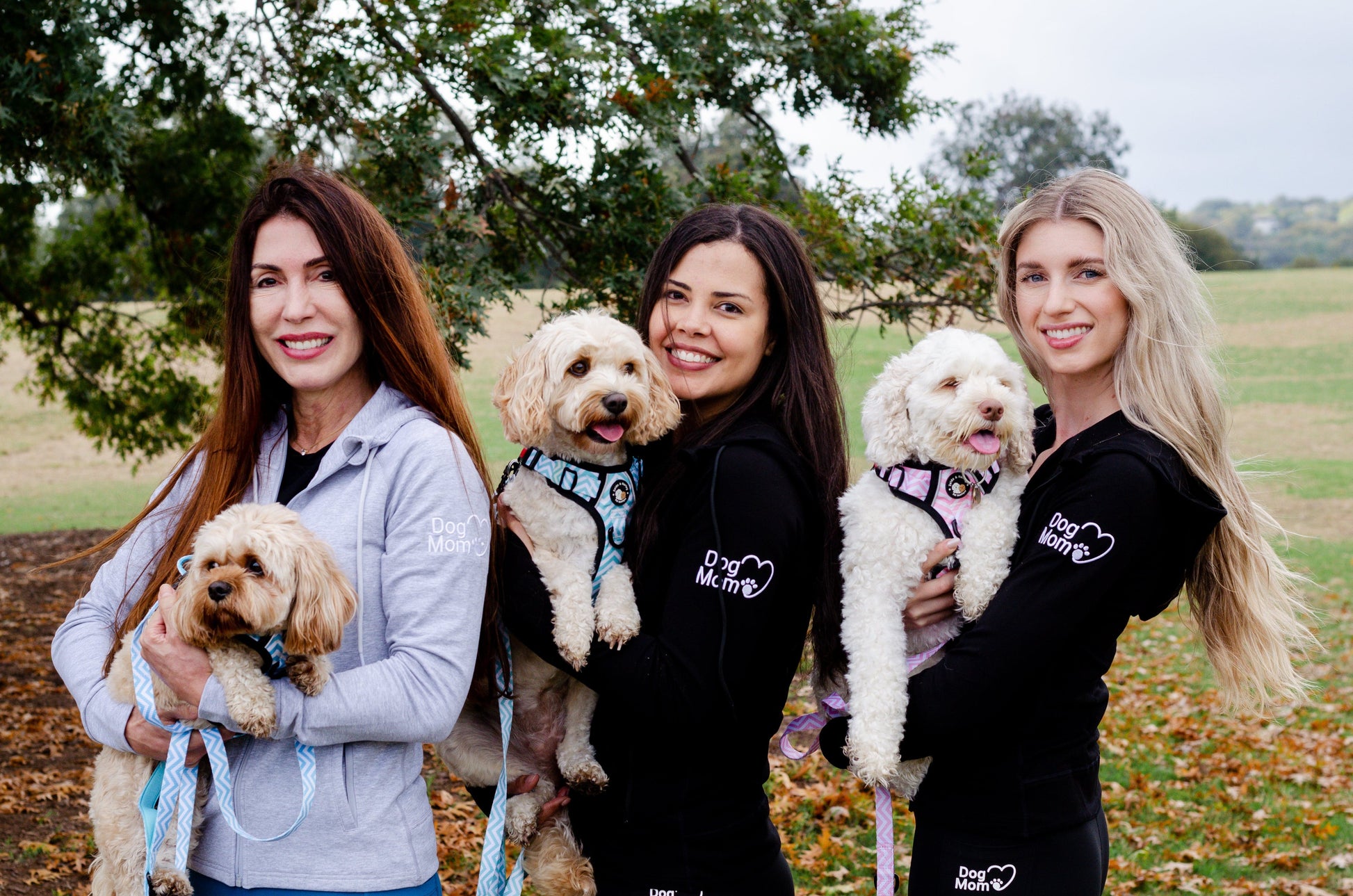 Zelda & Harley Apparel & Accessories Dog Mom Adventures Full Zip Hooded Jacket - Black
