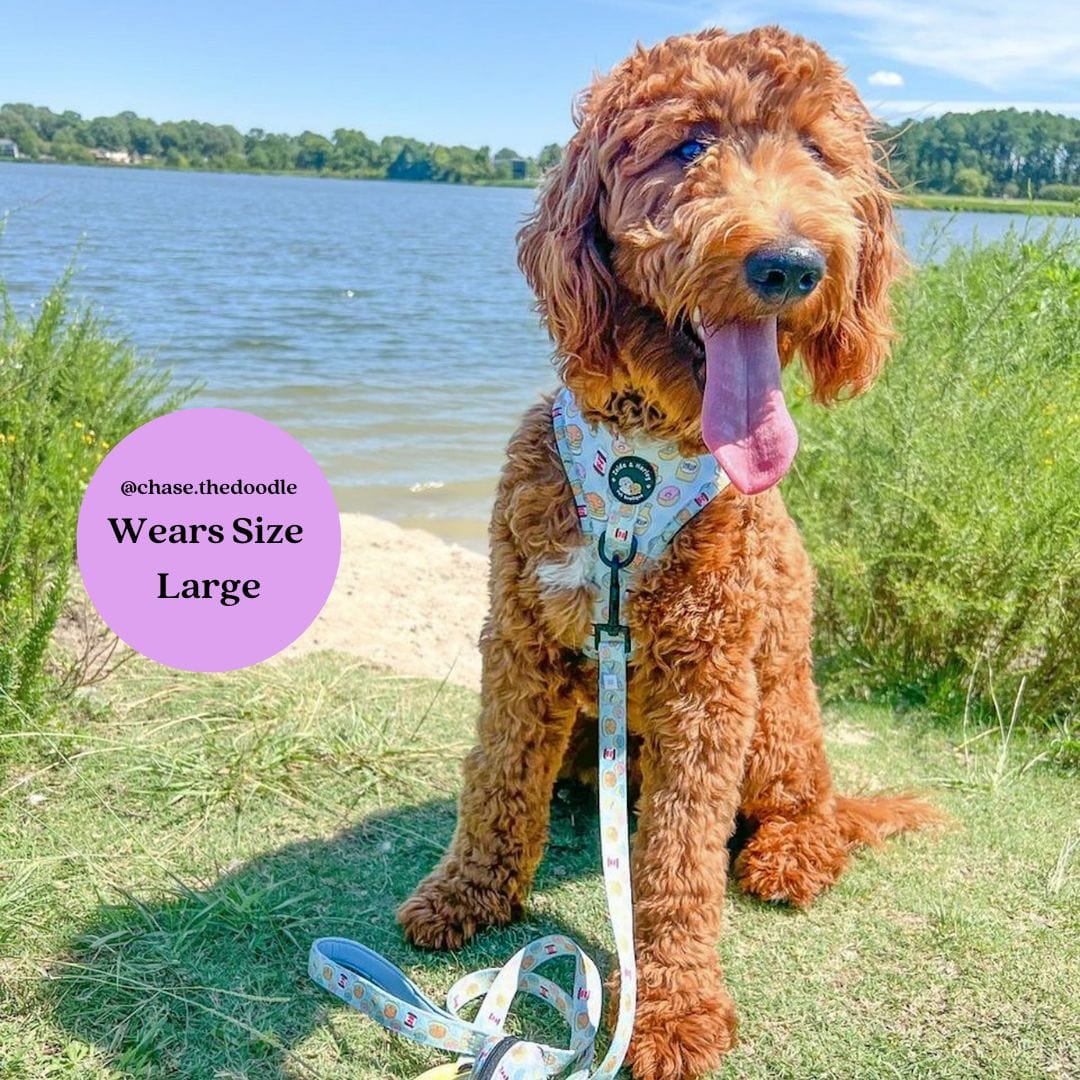 Zelda & Harley Harness Barking Brunch - D-Ring Adjustable Dog Harness