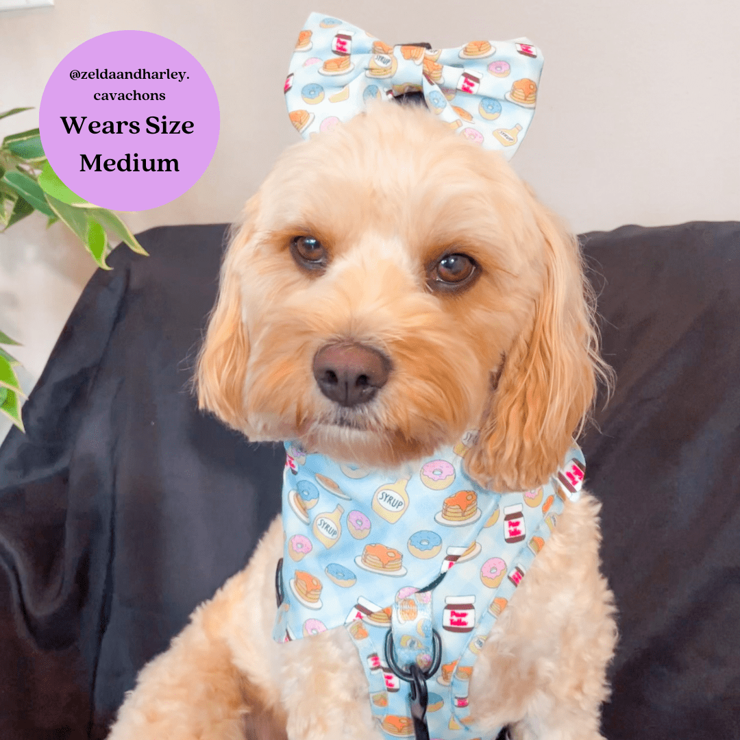 Zelda & Harley Harness Barking Brunch - No Pull Adjustable Dog Harness