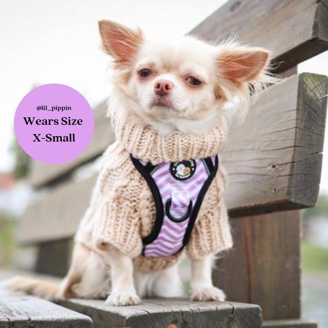 Zelda & Harley Harness Zig Zag Wag Pastel Purple - Adventure No Pull Harness
